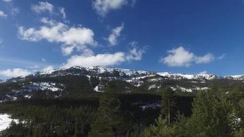 montañas nevadas y paisaje forestal. paisaje de bosque verde, montañas nevadas y cielo azul. video
