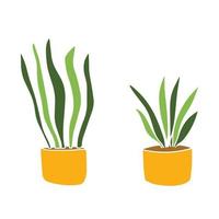 Collection of green plants in pot isolated on white background. Set realistic modern minimal design elements. vector