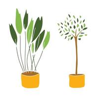 Collection of house plants in flower pots. Houseplants isolated on white background. Vector illustration in pastel colors.