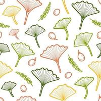 Leaves of Japanese ginkgo biloba tree. Vector print hand drawn in sketch style