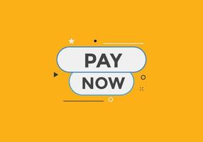 Pay Now button. Pay Now text web banner template. Sign icon banner vector