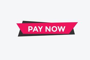 Pay Now text button. Web button banner template Pay Now vector