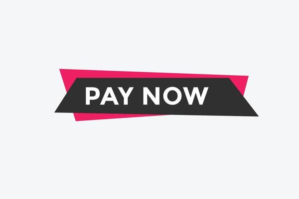 Pay Now button. Pay Now text web banner template. Sign icon banner