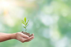 Hand holding seedling over blurred green nature background. Concept of plant growth and eco friendly photo