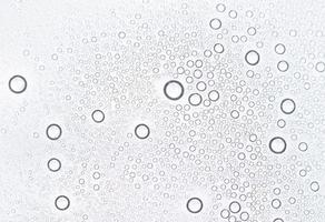 Water drops on white background photo