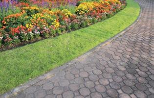 planta de flores y pasarela en el jardín foto