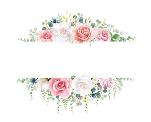 Pink and white rose with greenery banner on white background. Beautiful template for wedding invitation or greeting card, banner. All elements are isolated and editable. Vector.