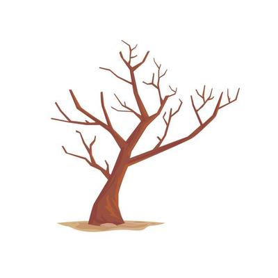Leafless dry tree, vector illustration isolated on white background