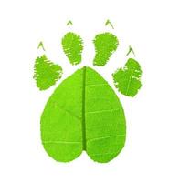 Green animal footprint photo