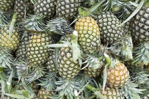 Pile of fresh pineapples in asian market photo