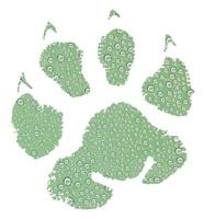 Water drops in on green animal footprint pattern