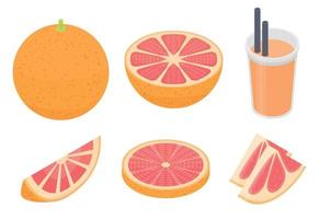 Grapefruit icons set, isometric style vector
