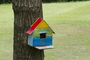 Bird house nesting-box hang on tree trunk photo