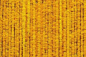 Yellow marigold flower background photo