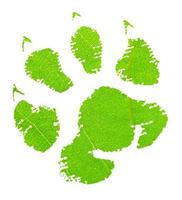 Green animal footprint photo