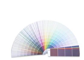guía de paleta de colores aislada sobre fondo blanco. foto
