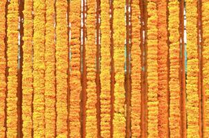 Yellow marigold flower background photo