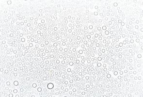 Water drops on white background photo