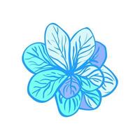 Vector Colorful Illustration of blue flower isolated on white background