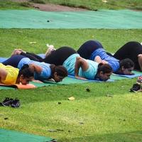 New Delhi, India, June 18 2022 - Group Yoga exercise class for people of different age in Lodhi Garden Park. International Day of Yoga, Big group of adults attending a yoga class outside in park photo