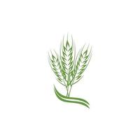 green wheat plant logo design thriving vector