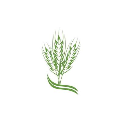 green wheat plant logo design thriving
