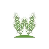 thriving wheat vector logo design