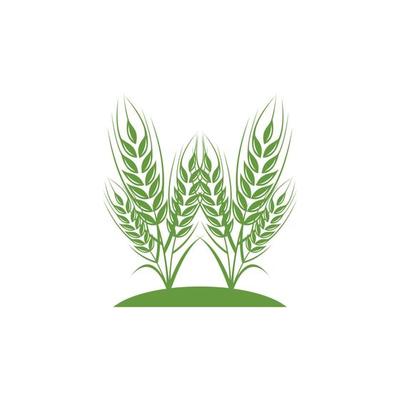 thriving wheat vector logo design
