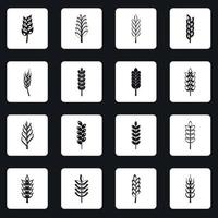 Ear corn icons set squares vector