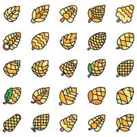 Pine cone icons set vector flat