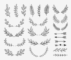 divisores vectoriales y laureles. elementos de diseño de garabatos dibujados a mano. bordes y líneas aisladas. vector