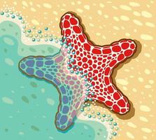 Vector illustration of sea star lying near the sea on the seashore