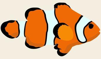 Vector illustration of orange marine exotic fish. Clown fish.