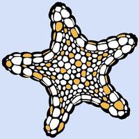 estrella de mar. duotono negro y naranja claro. vector