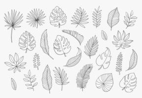 hojas tropicales en estilo garabato. elementos de diseño de línea negra dibujados a mano vectorial. ilustraciones botánicas exóticas de verano. hojas de monstera, palma, hoja de plátano. vector