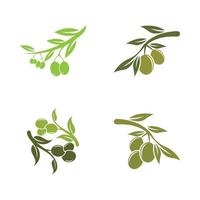 olive icon vector illustration