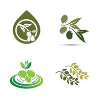 olive icon vector illustration