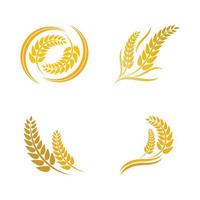 Wheat logo vector icon illustration