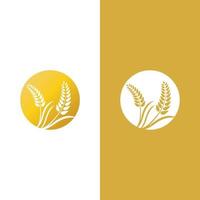 Wheat logo vector icon illustration