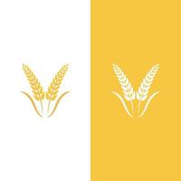 Wheat logo vector icon illustration