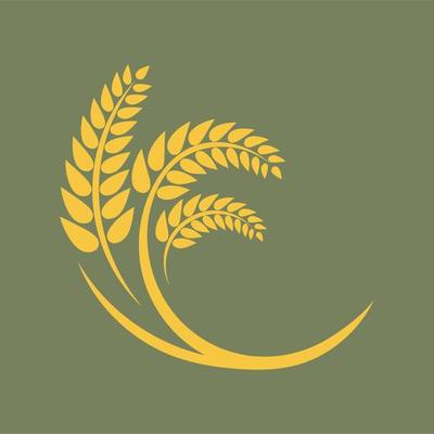 Wheat logo vector icon illustration