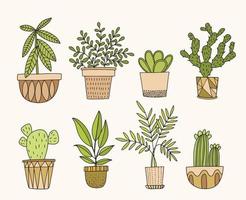 conjunto de plantas de interior en macetas. vector dibujado a mano en estilo garabato.