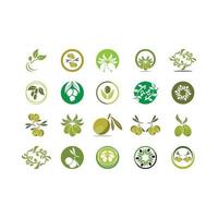 olive icon vector illustration