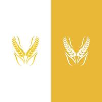 Wheat logo vector icon illustration