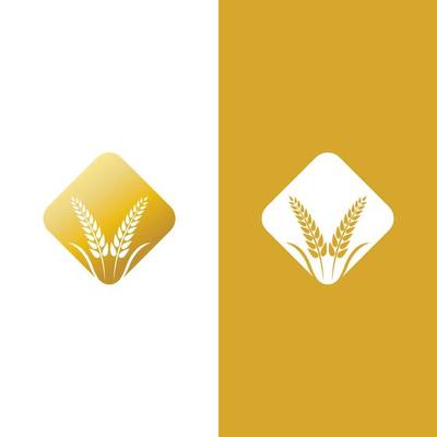 Wheat logo vector icon illustration