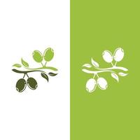 olive icon vector illustration