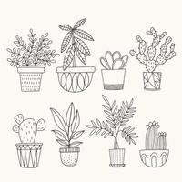 Hand drawn potted plants. Linear illustration in doodle style with plants, cactus, succulents in pots. vector