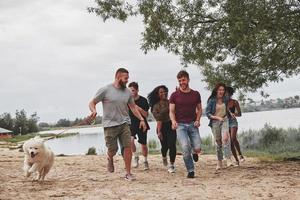 Group of multi ethnic friends have a walk with dog on beach photo