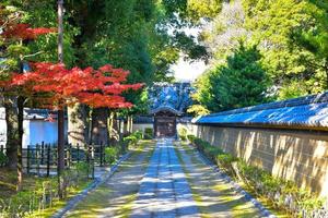 Japanese zen garden photo