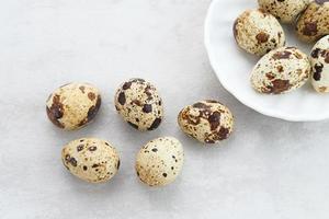 Fresh Quail Eggs served in bowl on grey background. Space for text photo